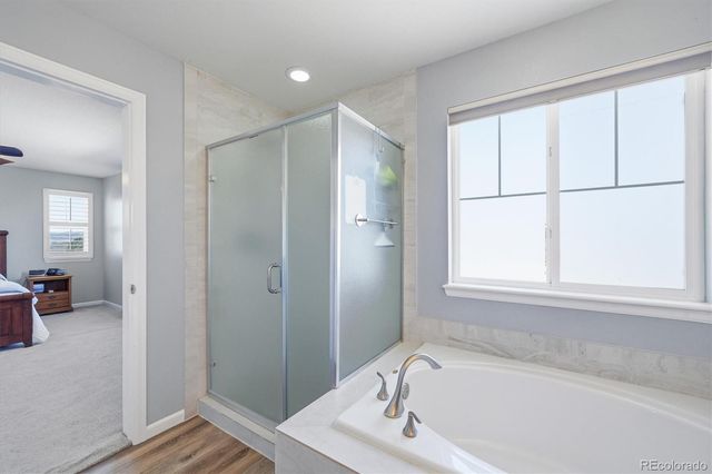 5185 Lemon Grass Place, Castle Rock, CO 80109