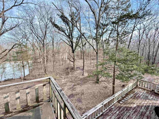 1830 OLD BROWNSVILLE RD, Somerville, TN 38068