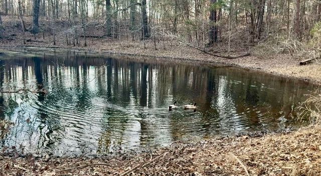 1830 OLD BROWNSVILLE RD, Somerville, TN 38068