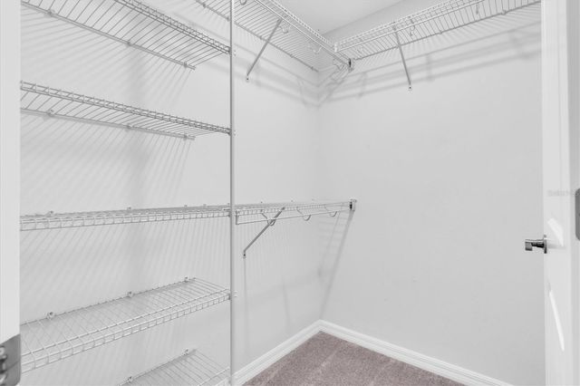 8299 BIRCH HAVEN LANE, New Port Richey, FL 34655