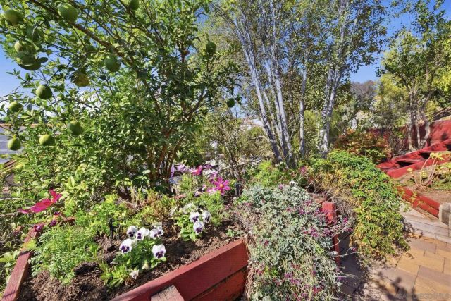 1653 Vista Vereda, El Cajon, CA 92019