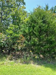 TBD Ben Nevis, Briarcliff, AR 72653