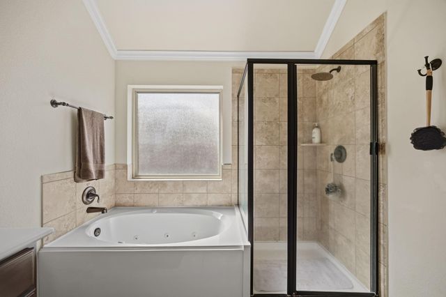 24118 Mckinzie Ridge Drive, Porter, TX 77365