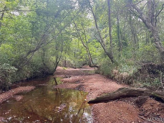 2814 Ripley N-2, Doniphan, MO 63935