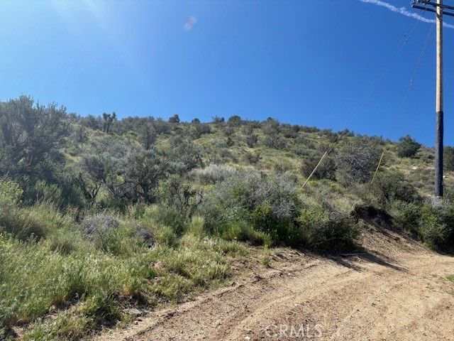 0 none, Pinon Hills, CA 92372