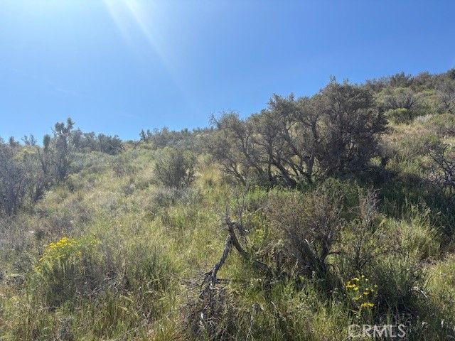 0 none, Pinon Hills, CA 92372