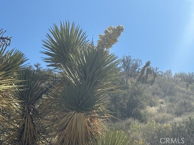 0 none, Pinon Hills, CA 92372