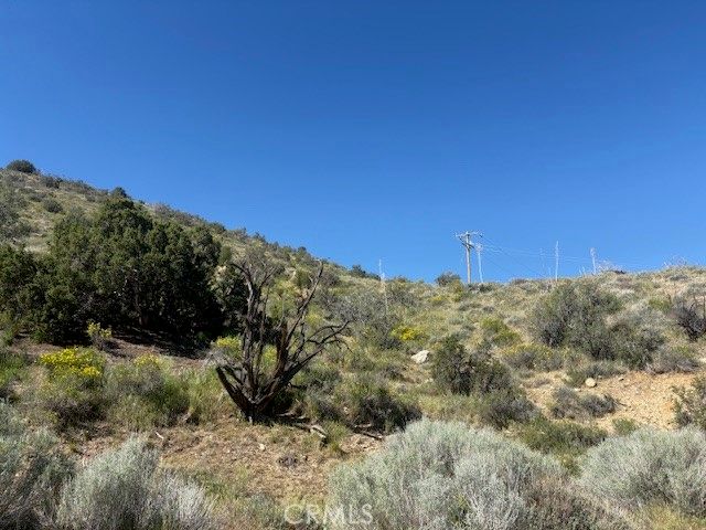 0 none, Pinon Hills, CA 92372