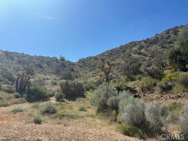 0 none, Pinon Hills, CA 92372