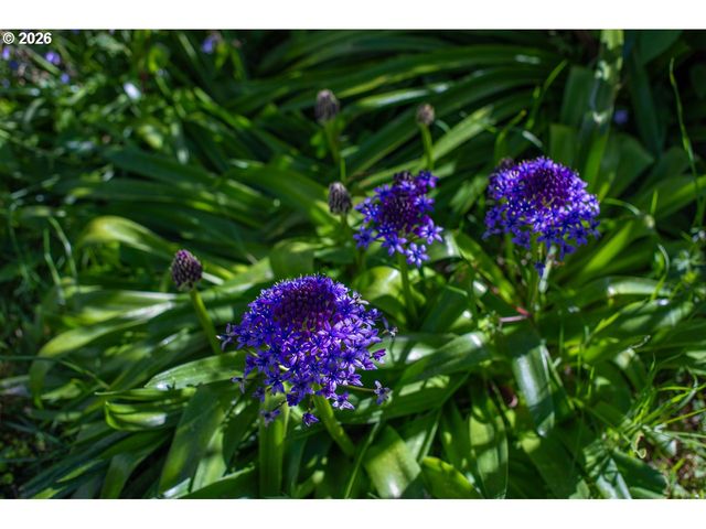 498 LEXINGTON Ave Ne, Bandon, OR 97411