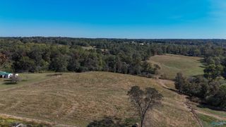 144 acres Sumners Road, Horton, AL 35980