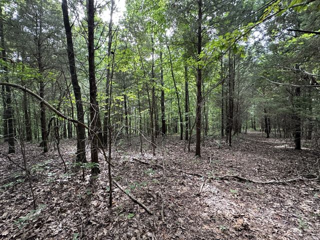 0 Kirby Hill Rd, Ashland City, TN 37015