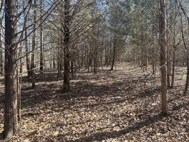 0 Kirby Hill Rd, Ashland City, TN 37015