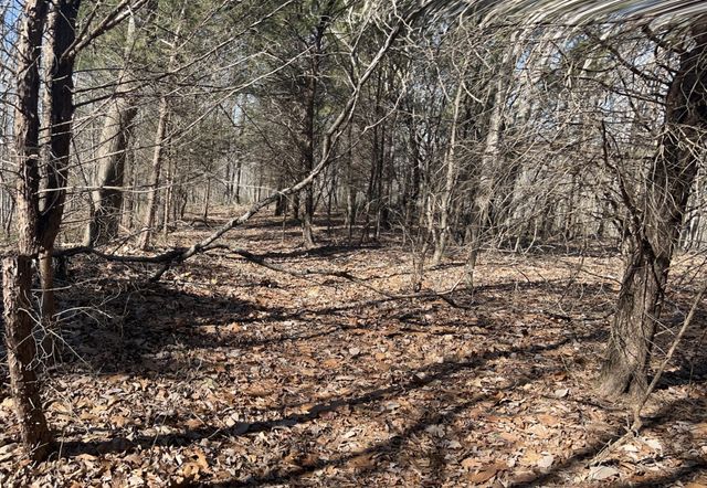 0 Kirby Hill Rd, Ashland City, TN 37015