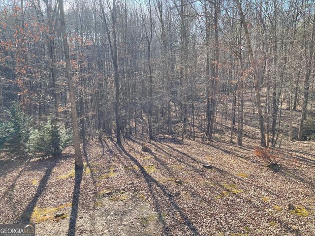 224 Chimney Sweep Trail, Fairmount, GA 30139