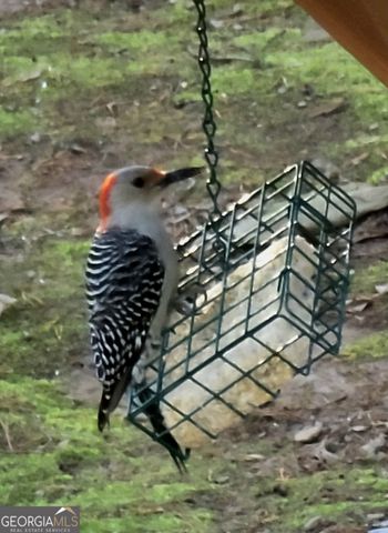 224 Chimney Sweep Trail, Fairmount, GA 30139