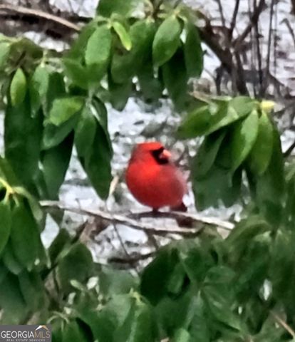 224 Chimney Sweep Trail, Fairmount, GA 30139