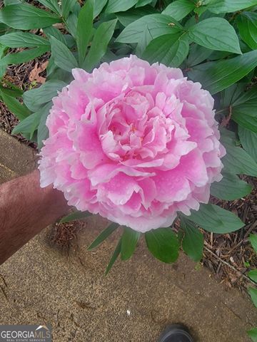 224 Chimney Sweep Trail, Fairmount, GA 30139