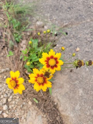 224 Chimney Sweep Trail, Fairmount, GA 30139