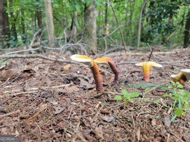 224 Chimney Sweep Trail, Fairmount, GA 30139