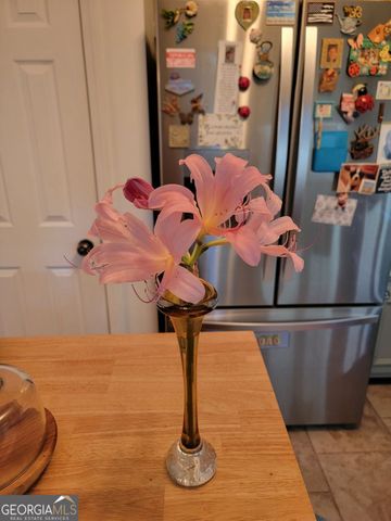 224 Chimney Sweep Trail, Fairmount, GA 30139