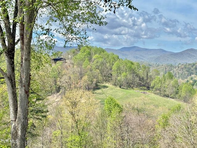 Lot 21 Lake Mist Trail, Butler, TN 37640