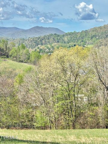 Lot 21 Lake Mist Trail, Butler, TN 37640