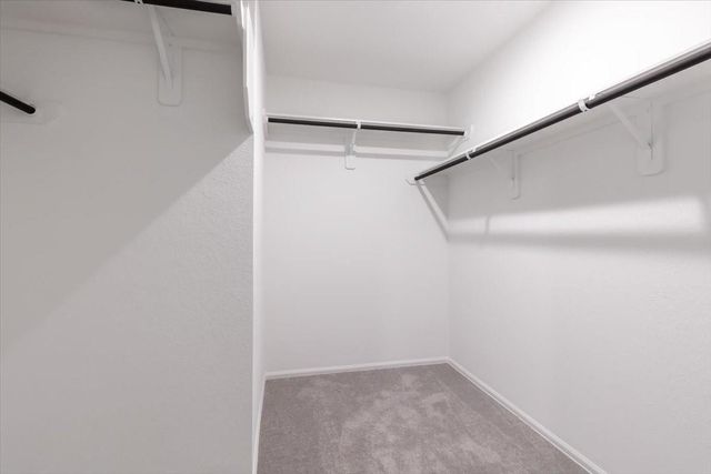 19513 Rosali Meadow Drive, New Caney, TX 77357