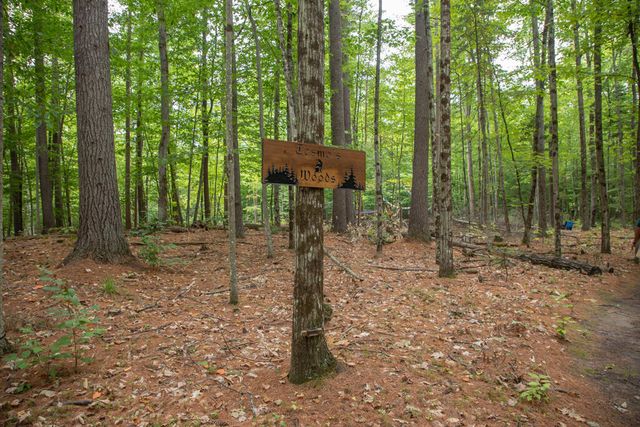 60 Gooseberry Lane, Jay, NY 12941