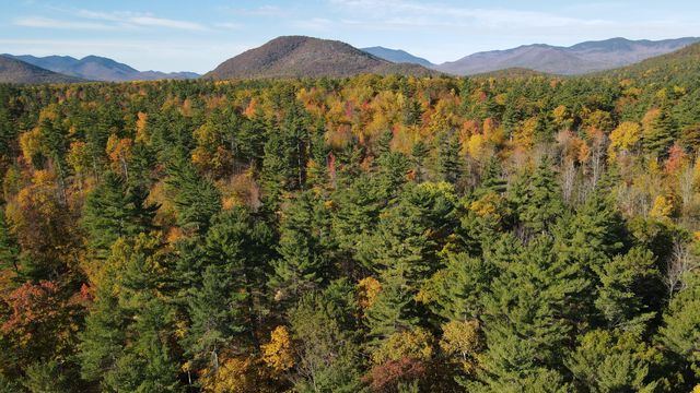 60 Gooseberry Lane, Jay, NY 12941