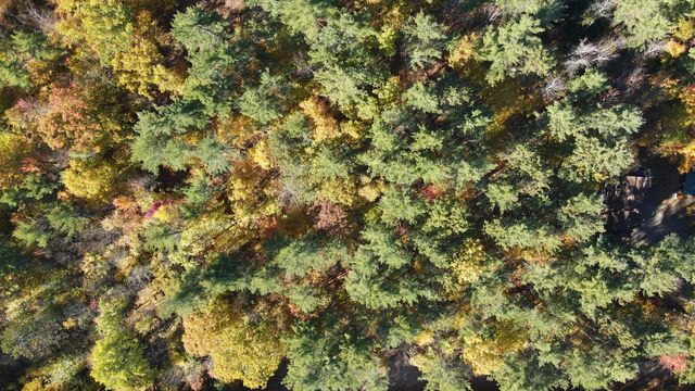 60 Gooseberry Lane, Jay, NY 12941