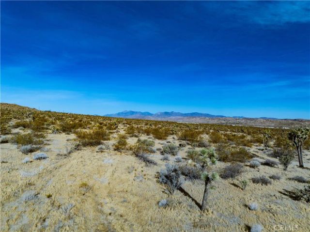 7454 Olympic, Joshua Tree, CA 92252