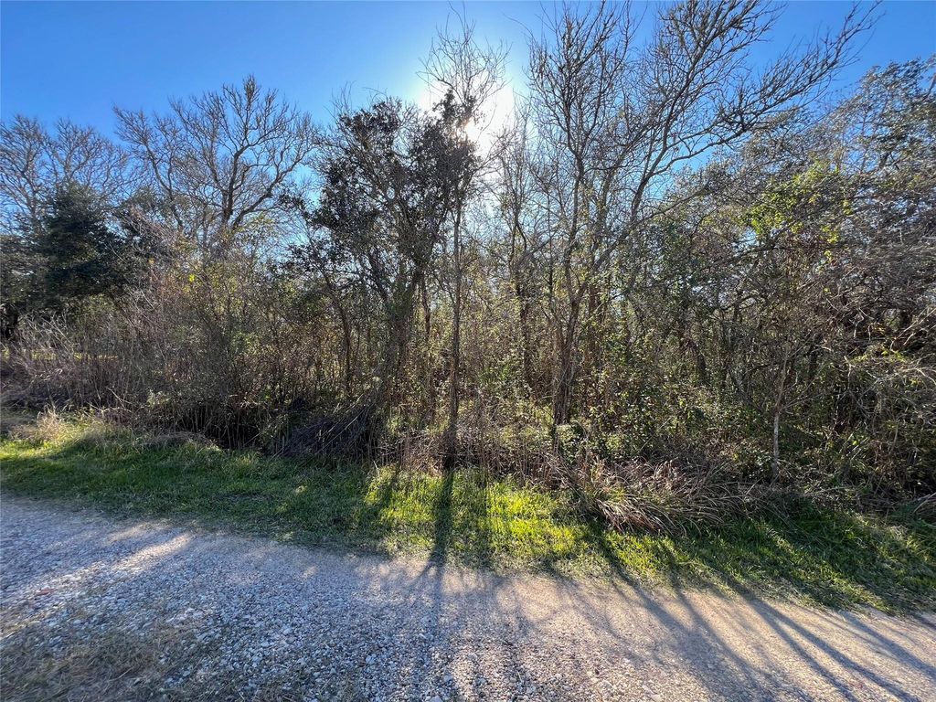 0 Segundo, Brazoria, TX 77422
