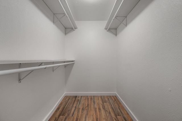 3203 Dolphin DR, Austin, TX 78704