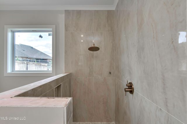 103 Camden Cove Cove, Madison, MS 39110