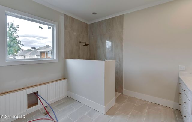 103 Camden Cove Cove, Madison, MS 39110