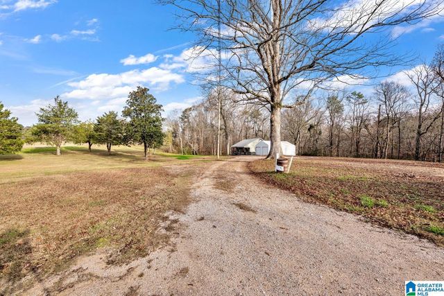 9157 BAGLEY ROAD, Dora, AL 35062