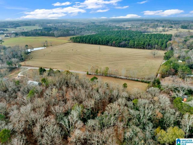 9157 BAGLEY ROAD, Dora, AL 35062