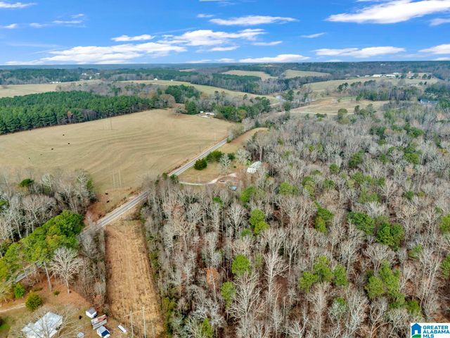 9157 BAGLEY ROAD, Dora, AL 35062