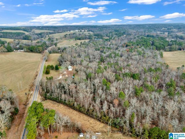 9157 BAGLEY ROAD, Dora, AL 35062