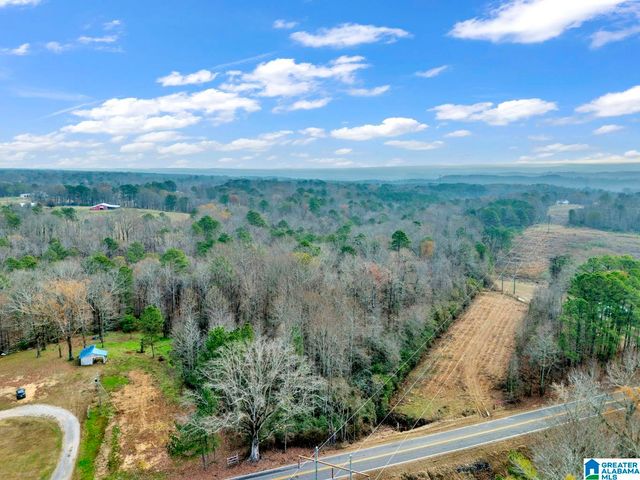 9157 BAGLEY ROAD, Dora, AL 35062