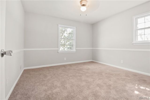 1318 Montrose, Tuscaloosa, AL 35405