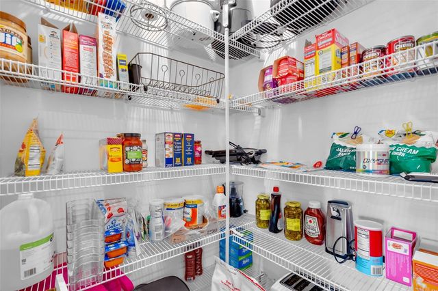 3806 DAISY BLOOM PLACE, Tampa, FL 33619