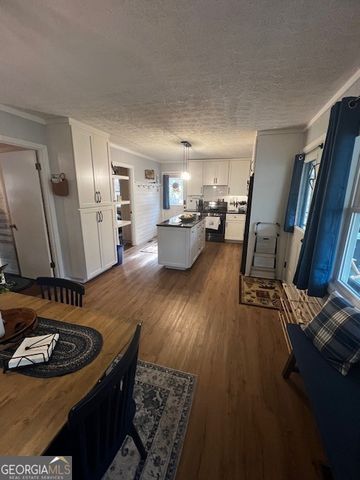 546 Happy Hollow Circle, Suches, GA 30572