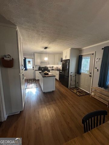 546 Happy Hollow Circle, Suches, GA 30572