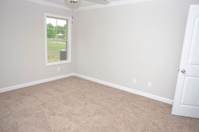 431 Generosity Way, Smyrna, TN 37167