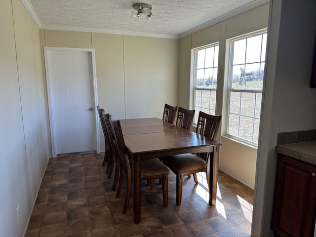 165 Tower Road, Grandview, TN 37337