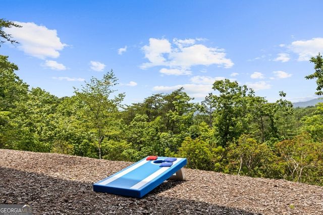 351 Black Dog Trail, Morganton, GA 30560