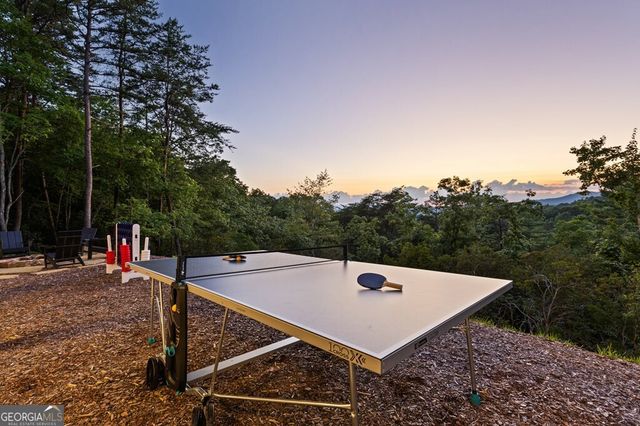 351 Black Dog Trail, Morganton, GA 30560