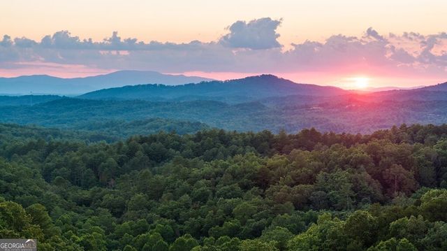 351 Black Dog Trail, Morganton, GA 30560